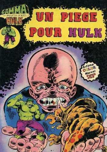 Scan de la Couverture Hulk Gamma n 14